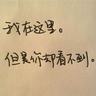 驯龙高手2